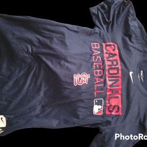 Nike men's Cardinal tee